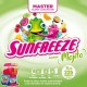 Master SunFreeze Mojito 1L ultraconcentré pour Granité / Granita