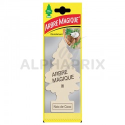 Arbre magique noix de coco