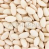 Dragées Avola Marquise (45% d'amande) CHAMPAGNE mat - 1kg