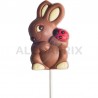 ~Sucettes 35g lapin coccinelle