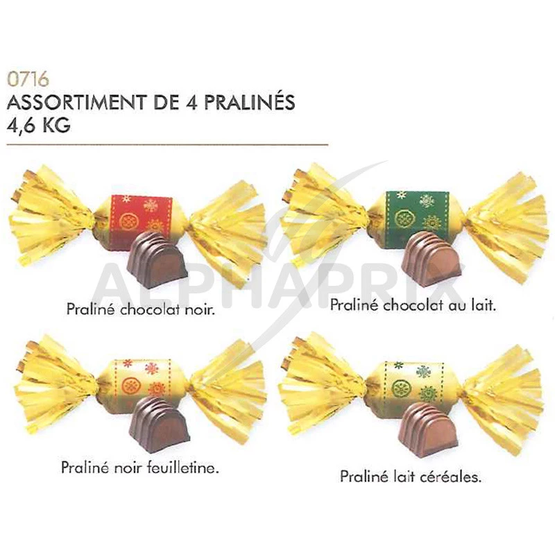 Ballotin Plaisir d'Offrir et son assortiment de 70 papillotes au chocolat  REVILLON - Cdiscount Au quotidien