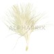 Plumes 7CM IVOIRE - sachet de 20