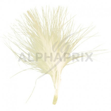 Plumes 7CM IVOIRE - sachet de 20
