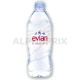 Evian Pet 1L