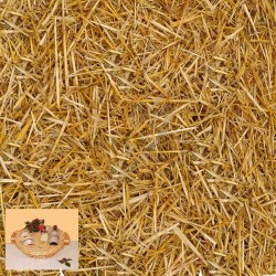 Frisure épicea - la botte de 20kg