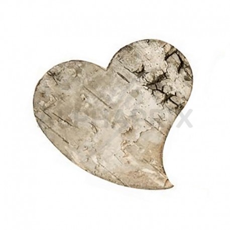 Coeurs en écorce de bois naturel par 10