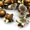 ~Fruits de mer vrac fourrés praliné kg