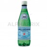 San pellegrino gazeuse Pet 50 cl