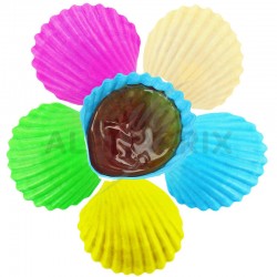Lollycoque roudoudou s/cello - carton de 1000