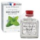 Ricqles alcool de menthe flacon de poche - unité de 30ml