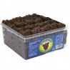 ~Oursons guimauve chocolat lait bac 600g
