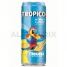 Tropico exotique original boîte 33 cl