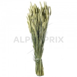 Botte de blé véritable