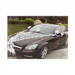 Décorations pour voiture Luxe BLANC - le kit