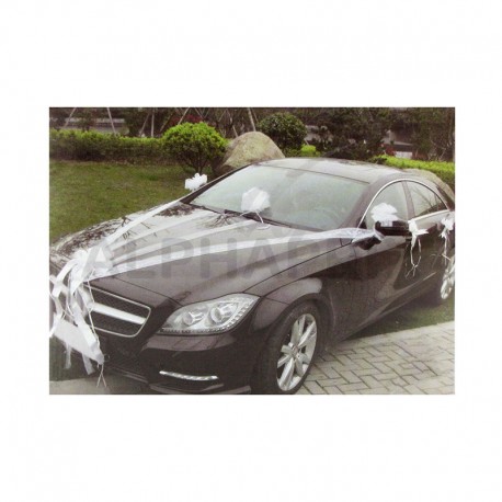 Décorations pour voiture Luxe BLANC - le kit