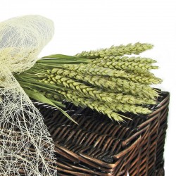 Botte de blé véritable