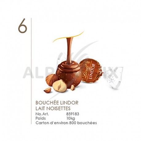 Lindt Carton de 10 kg de boules LINDOR Chocolat au LAIT