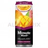 Minute Maid Multifruits boîte slim 33cl