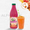 Concentré Master sun Freeze Pêche Abricot 1L pour Granité / Granita