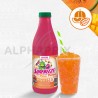 Concentré Master sun Freeze Melon mangue 1L pour granité / Granita