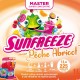 Concentré Master sun Freeze Pêche Abricot 1L pour Granité / Granita