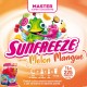 Concentré Master sun Freeze Melon mangue 1L pour granité / Granita