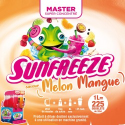 Concentré Master sun Freeze Melon mangue 1L pour granité / Granita