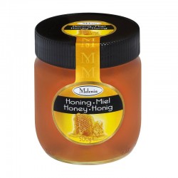 Miel de Fleurs sauvages liquide pot en verre 500g en stock