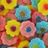 Fleurs mini candies kg Dulceplus