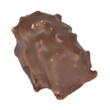 Malakoff praliné lait à l'ancienne kg COULOIS