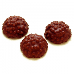 ~Hérissons chocolat ** sous cello ** - boîte de 80