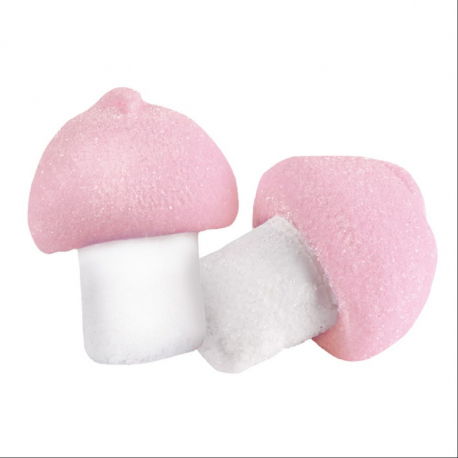 Champignon guimauve bulgari - boîte de 150