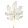 Feuille d'Aralia sur tige BLANC