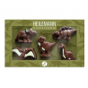Coffret Dinosaures - 100g