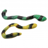 Serpents anacondas géants kg Vidal