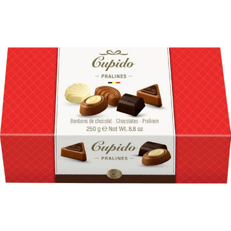 Ballotin chocolats belge assortis 250g