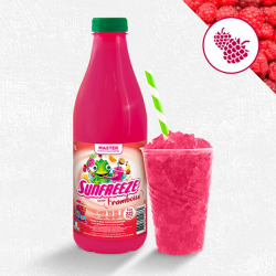 Concentré Master sun Freeze Framboise 1L pour Granité / Granita