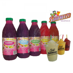 Concentré Master sun Freeze Framboise 1L pour Granité / Granita