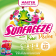 Concentré Master sun Freeze Kiwi Pêche 1L pour Granité / Granita