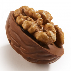 Demi noix chocolat lait praliné vrac 1kg