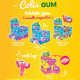 Colis gum Lutti (Roll up Tutti offert)