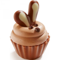 ~Cupcakes crème de chocolat & Moka Boîte vrac "Bunny"