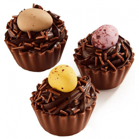 ~Cupcakes ganache nids d'oiseaux avec oeufs Boîte vrac