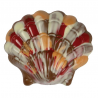 ~Coquille St Jacques lait (ouvert) 110g - 11cm