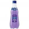 Lorina limonade artisanale Myrtille pet 42 cl