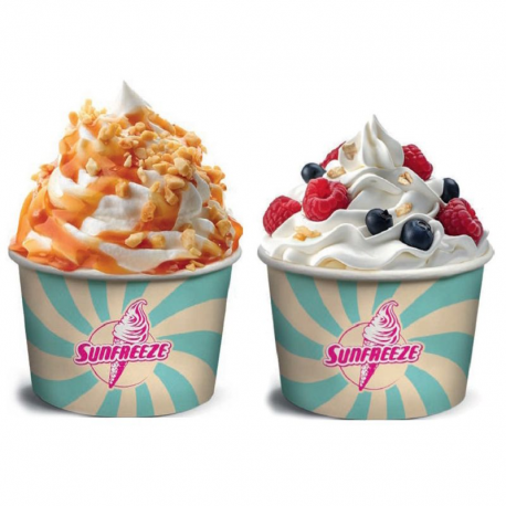 Machine Freezy Cream double 2 bacs 6L Pack complet Sundae et Yaourts Glacés