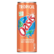 Oasis tropical boîte 33 cl