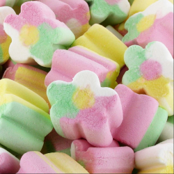 Finitronc Fleurs Marshmallow 125 pcs vrac Fini