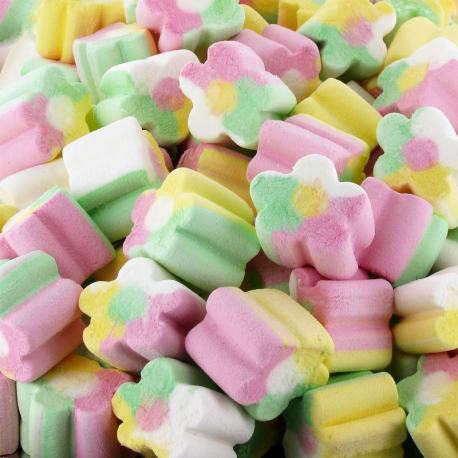 Finitronc Fleurs Marshmallow 125 pcs vrac Fini