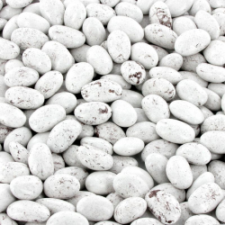 Dragées Pralissimo Amande grillée, chocolat noir et praliné BLANC - 1kg